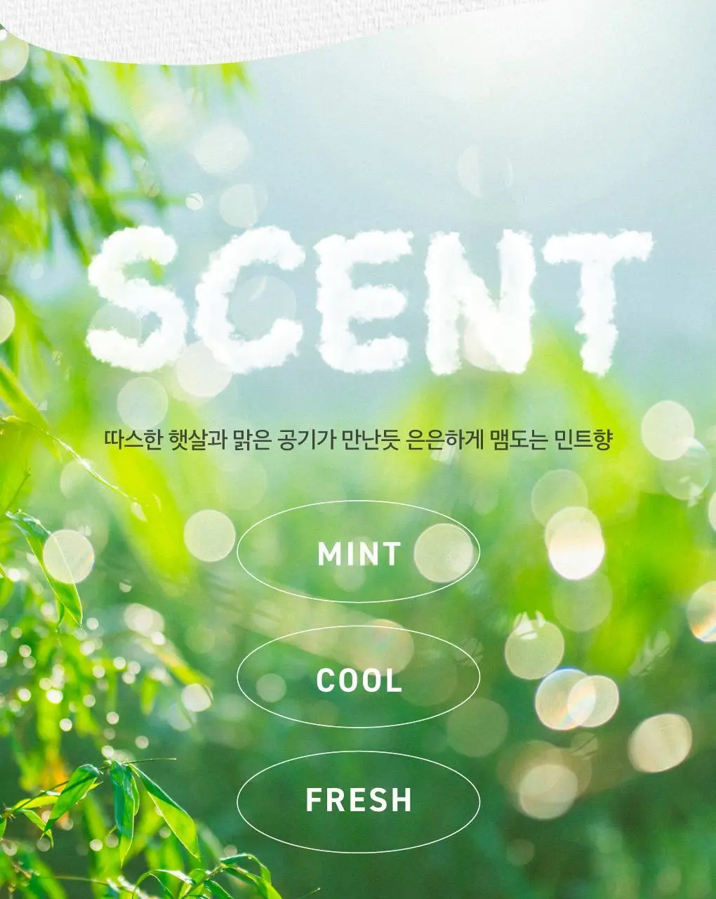 [고불소] 루치펠로 코랄리프 1450 레드 치약 120g 상세페이지 22